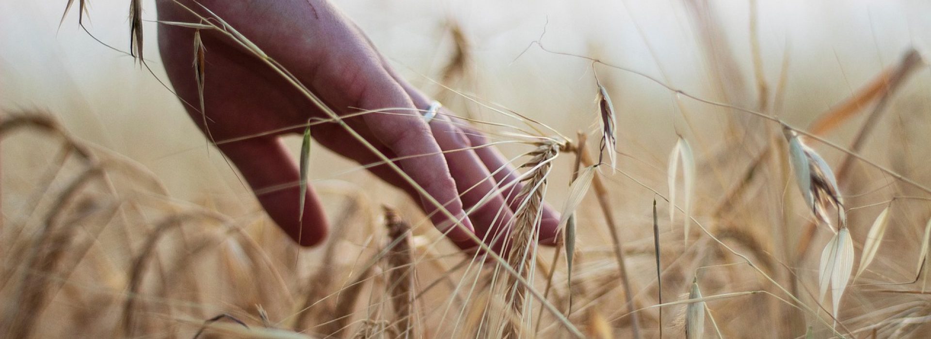 agri
